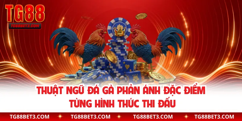 Thuật ngữ đá gà phản ánh đặc điểm từng hình thức thi đấu